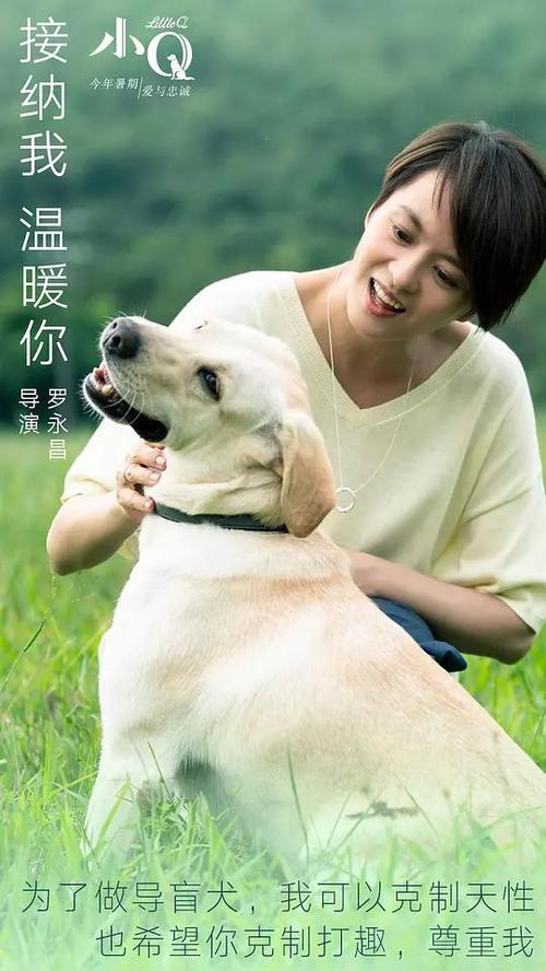 齐齐哈尔办理毕业证